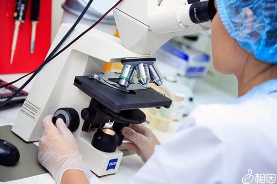 广州天津试管婴儿单周期费用参考 2026最新花费明细