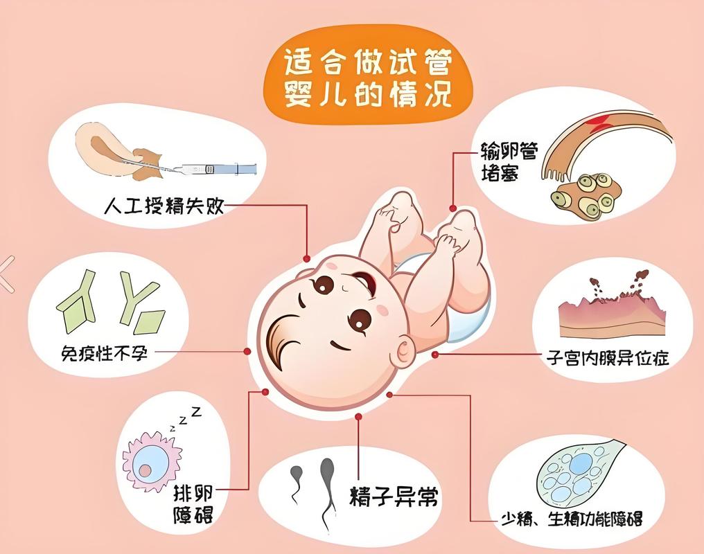 广州试管婴儿科普干货 从检查到移植一篇看懂