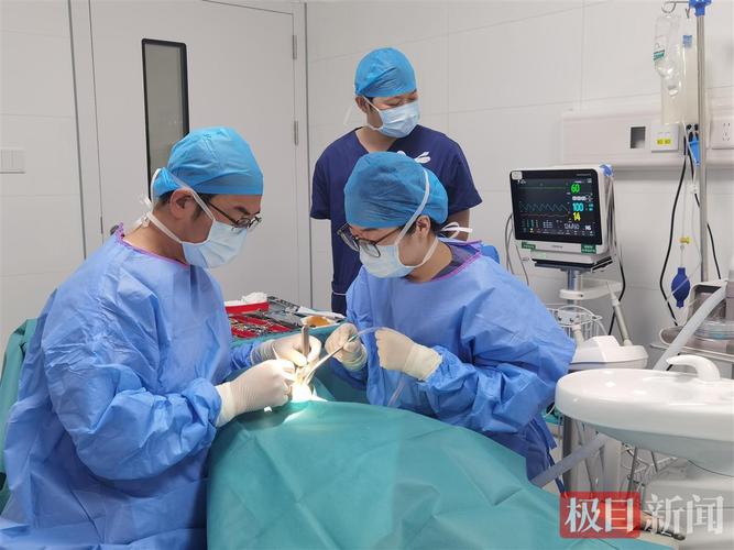 广州90岁老人种牙行不行 医生说了大实话