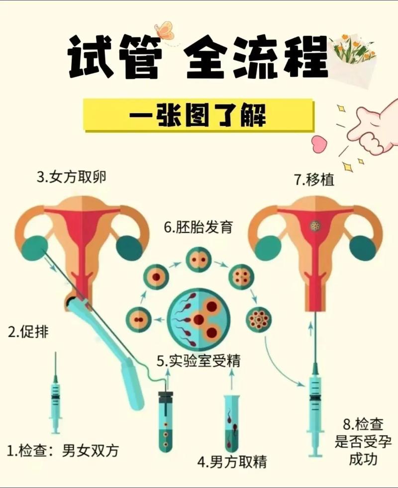 试管知识_试管知识科普最基本的_试管知识图片