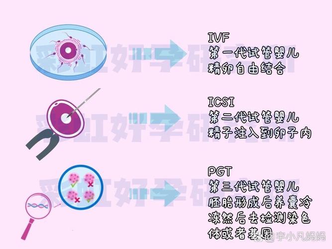 苏州三代试管一个周期多少钱_苏州试管婴儿_苏州哪里做试管