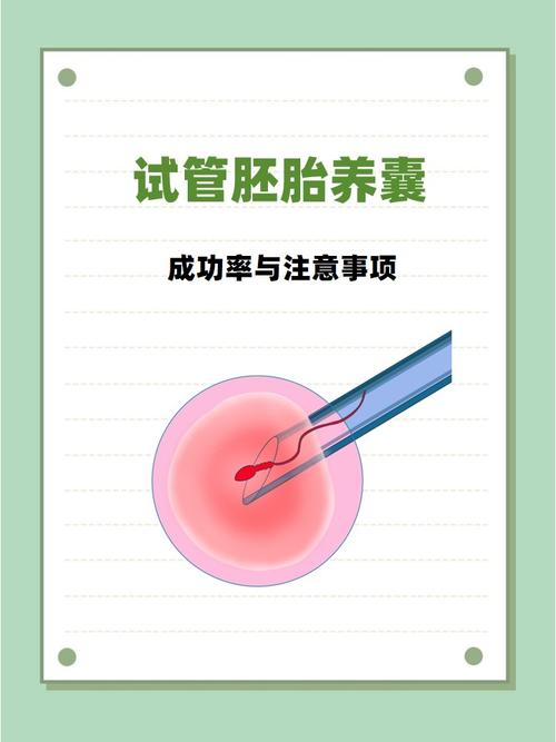 广州囊胚培养是什么?试管成功的关键一步