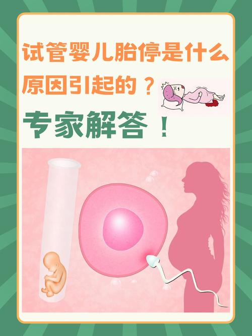 试管婴儿常见误区有哪些_误区婴儿常见试管有几种_什么叫婴儿试管