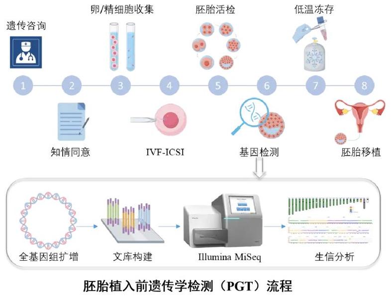 广州三代试管筛查项目有哪些 能查什么病