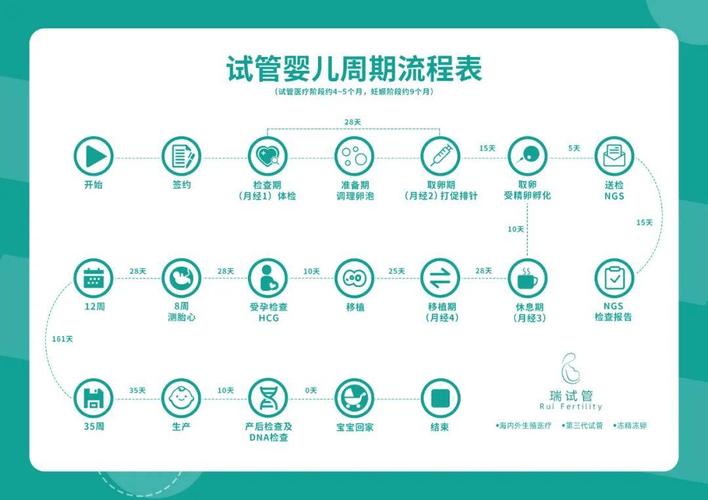 广州北京试管婴儿流程步骤 从检查到移植要多少天