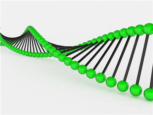 广州三代试管可以筛选基因吗？能查哪些遗传病、具体咋筛讲明白